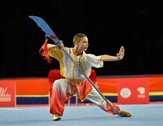 Image result for Wushu vs Kung Fu