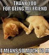 Image result for Cute Best Friend Memes