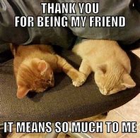 Image result for Cute Friend Memes