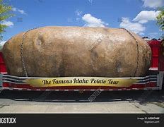 Image result for World Record Biggest Potato