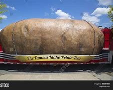 Image result for World Biggest Potatoe
