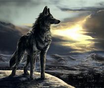 Image result for Wolves Fan Art