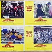 Image result for He's On a Roll Animal House