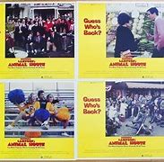 Image result for Delta House Animal House