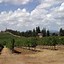 Image result for Castello di Ama Al Poggio Toscana