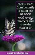 Image result for Short Butterfly Quotes