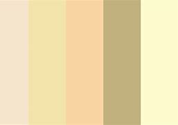 Image result for Champagne Color Swatches