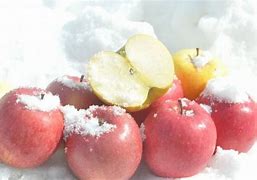 Image result for Snow Apple Maker
