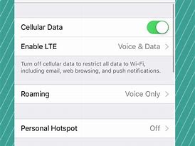 Image result for Data Roaming in iPhone