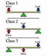 Image result for 3 Classes of Levers Examples