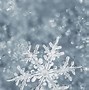 Image result for Coolest Snowflake