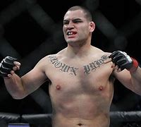 Image result for MMA Heavyweight