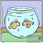 Image result for Aquarium Humour
