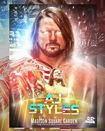 Image result for AJ Styles Entrance Logo