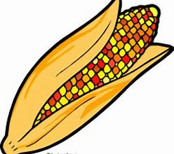 Image result for Fall Corn Clip Art