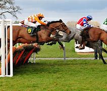 Image result for Horse Racing Track