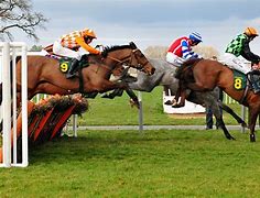 Image result for Human Horse Racing