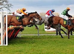 Image result for Horse Racing Photos Free
