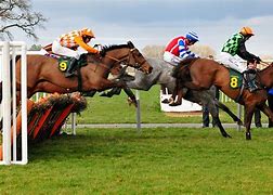 Image result for Royal Horse Racing Colours