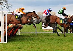 Image result for Free Horse Racing Betting