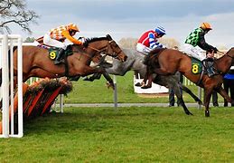 Image result for Horse Racing Toys