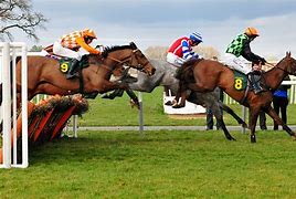 Image result for Types of Horse Racing