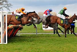 Image result for Kaitlin Free Horse Racing