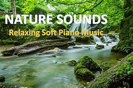 Image result for Relaxing Nature Sounds