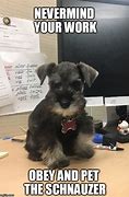 Image result for Puppy Work Memes