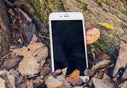 Image result for iPhone Mockup with Nature Photo