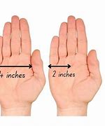 Image result for Things That Are 6 Inches Long