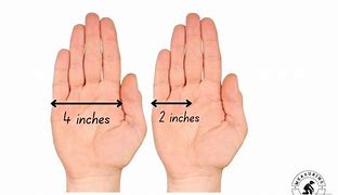 Image result for 2.5 Inches Compared to an Adult