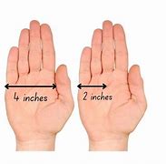 Image result for What Does 6 Inches Look Like