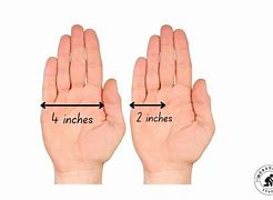 Image result for Ruler 12 Inches Actual Size