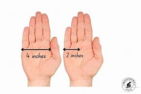 Image result for 4 Inch Ruler Actual Size