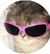 Image result for Cat Profile with Sunglasses