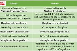 Image result for Table Depicting Difference Between Meiosis and Mitosis