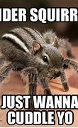 Image result for Big Scary Spider Meme
