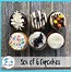 Image result for Sam's Club Gourmet Cupcakes