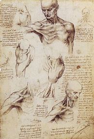 Image result for DaVinci Sketches