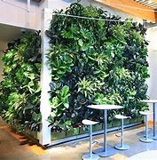 Image result for Living Plant Wall Lighting