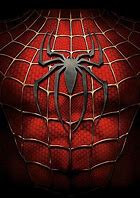 Image result for Black Spider-Man Chest