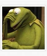 Image result for Kermit Face Palm