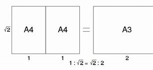 Image result for Paper Sizes Inches