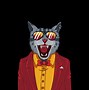 Image result for Pics of a Cool Cat