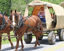 Image result for wagons