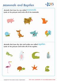 Image result for Mammals and Reptiles Pictures for Kids