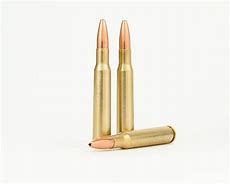 Image result for 30 06 Hollow Point