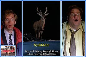 Image result for Tommy Boy Deer Scene