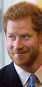 Image result for Prince Harry Military Service